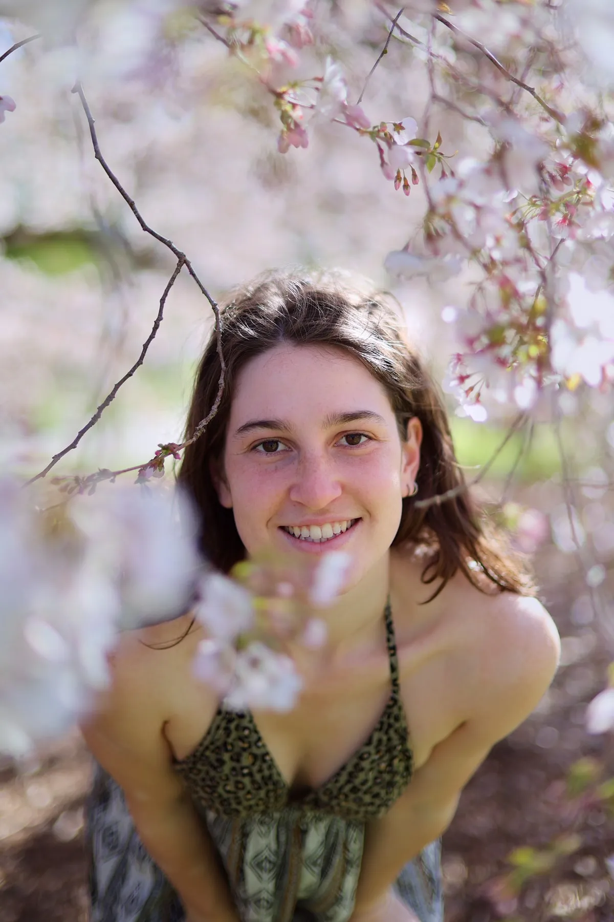 Under the Cherry Blossoms 5