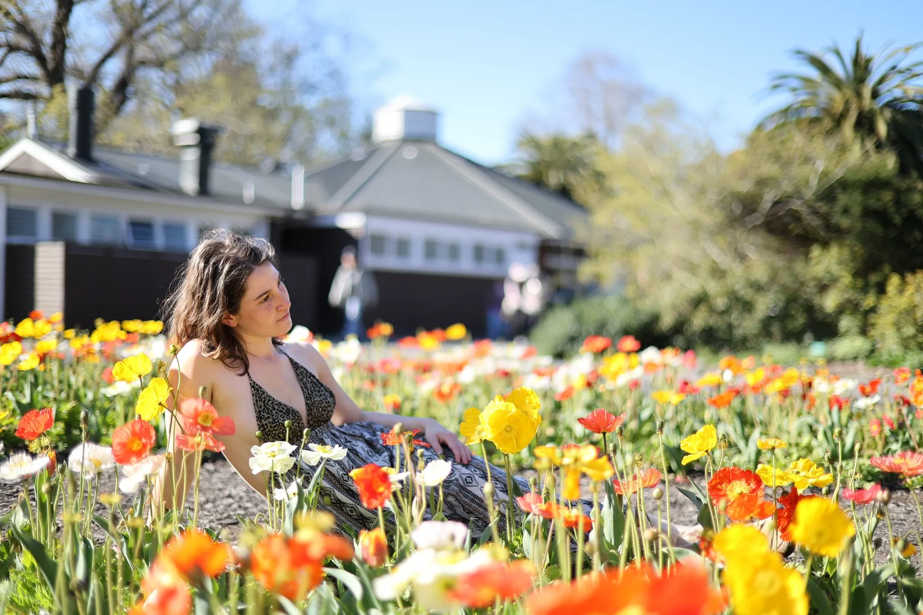 Amongst the flowers