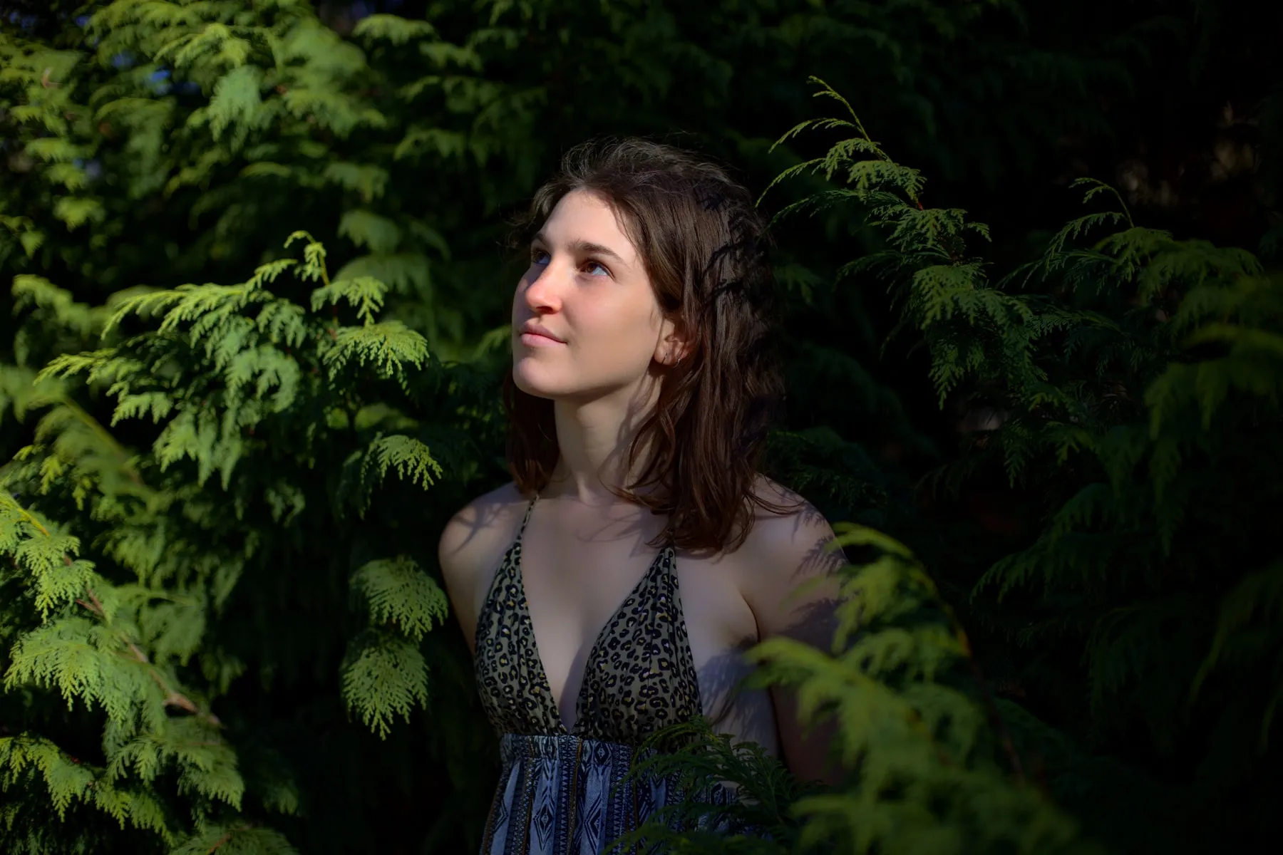 Embraced by the trees 1