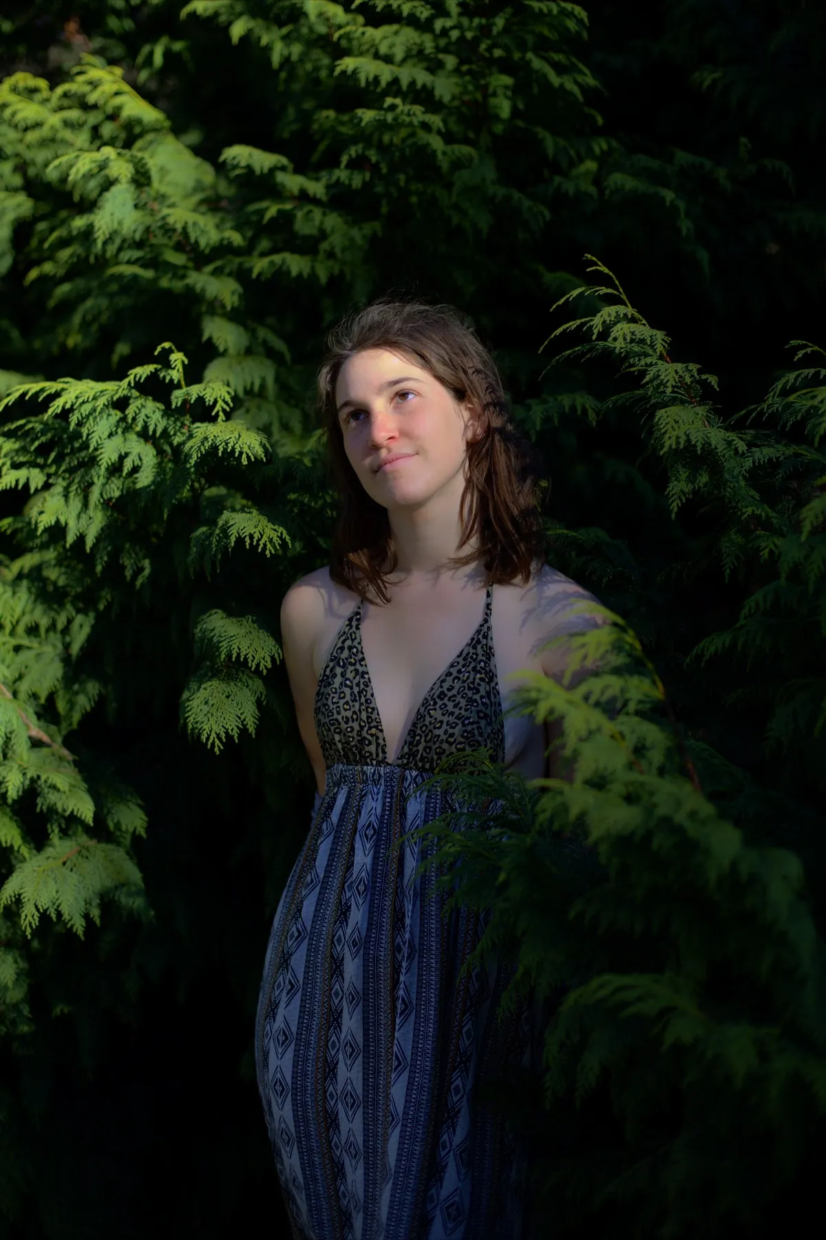 Embraced by the trees 2