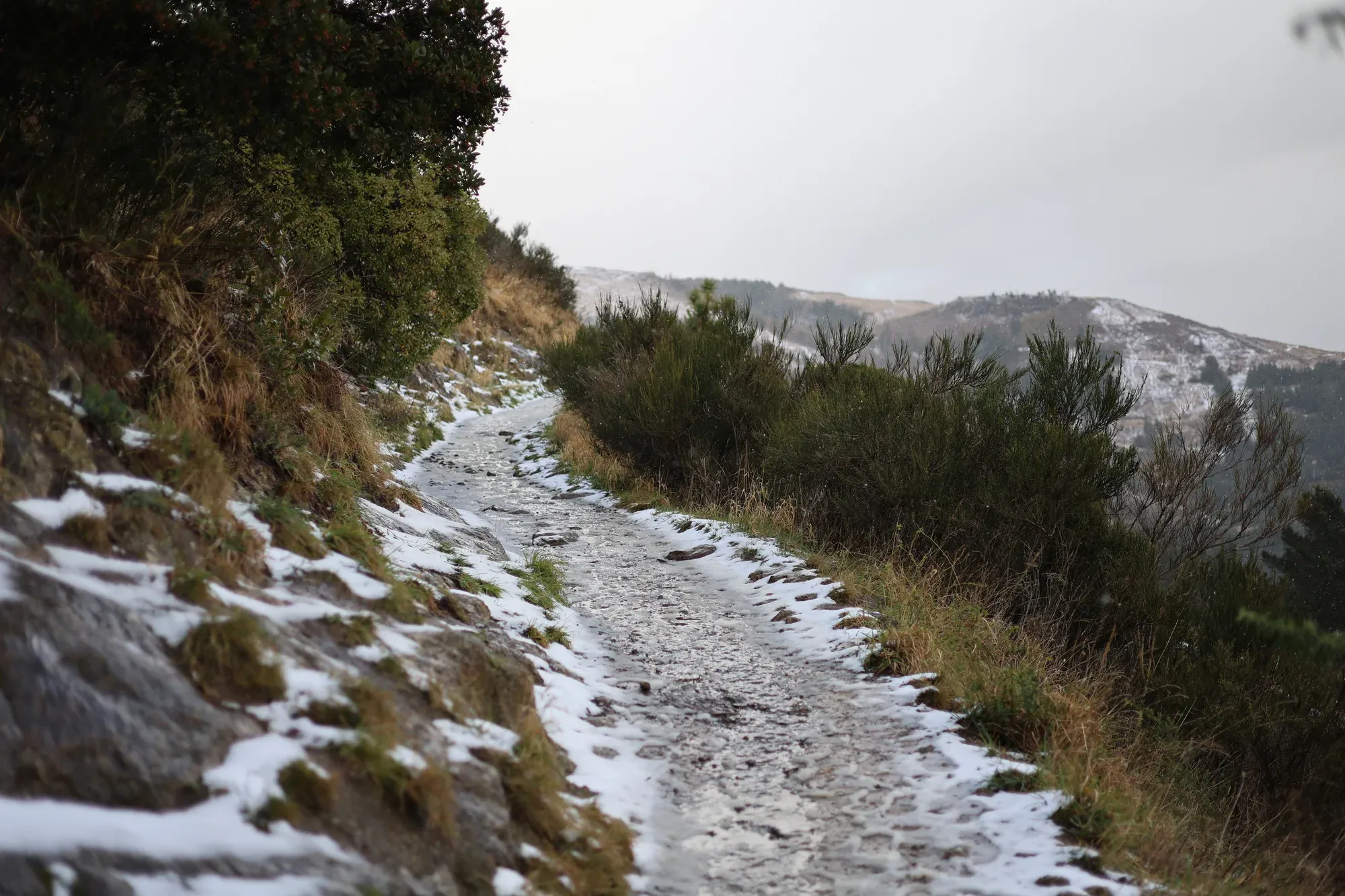 A snowy mountain trail winds past shrubs towards distant hills